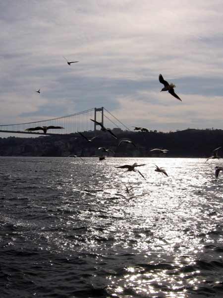 istanbul city info
